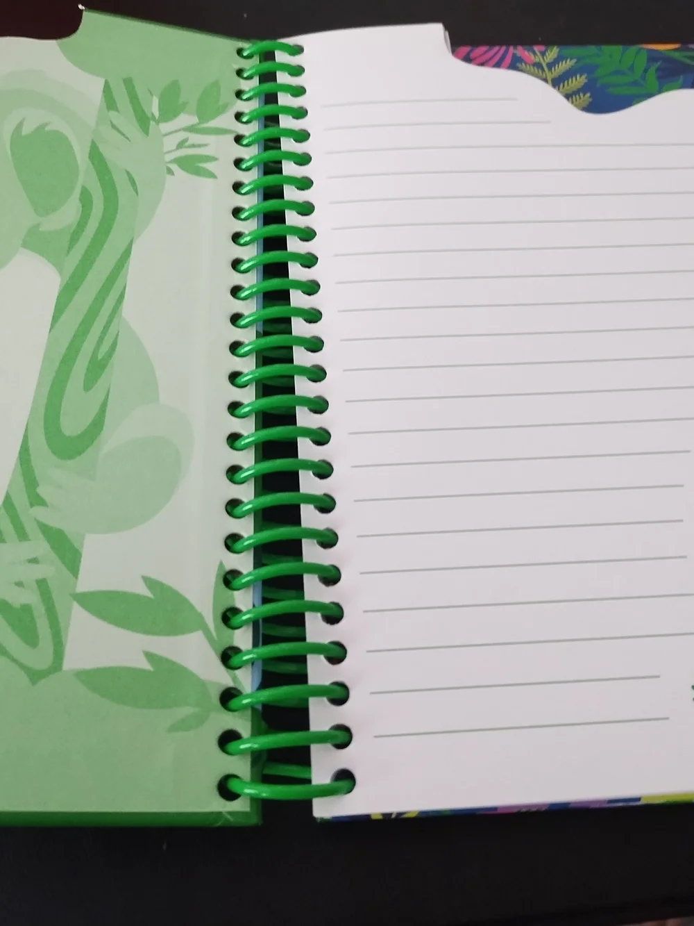 Girl Scout Notebook 